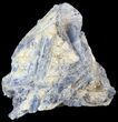 Kyanite Crystal Cluster with Quartz - Brazil #44997-1
